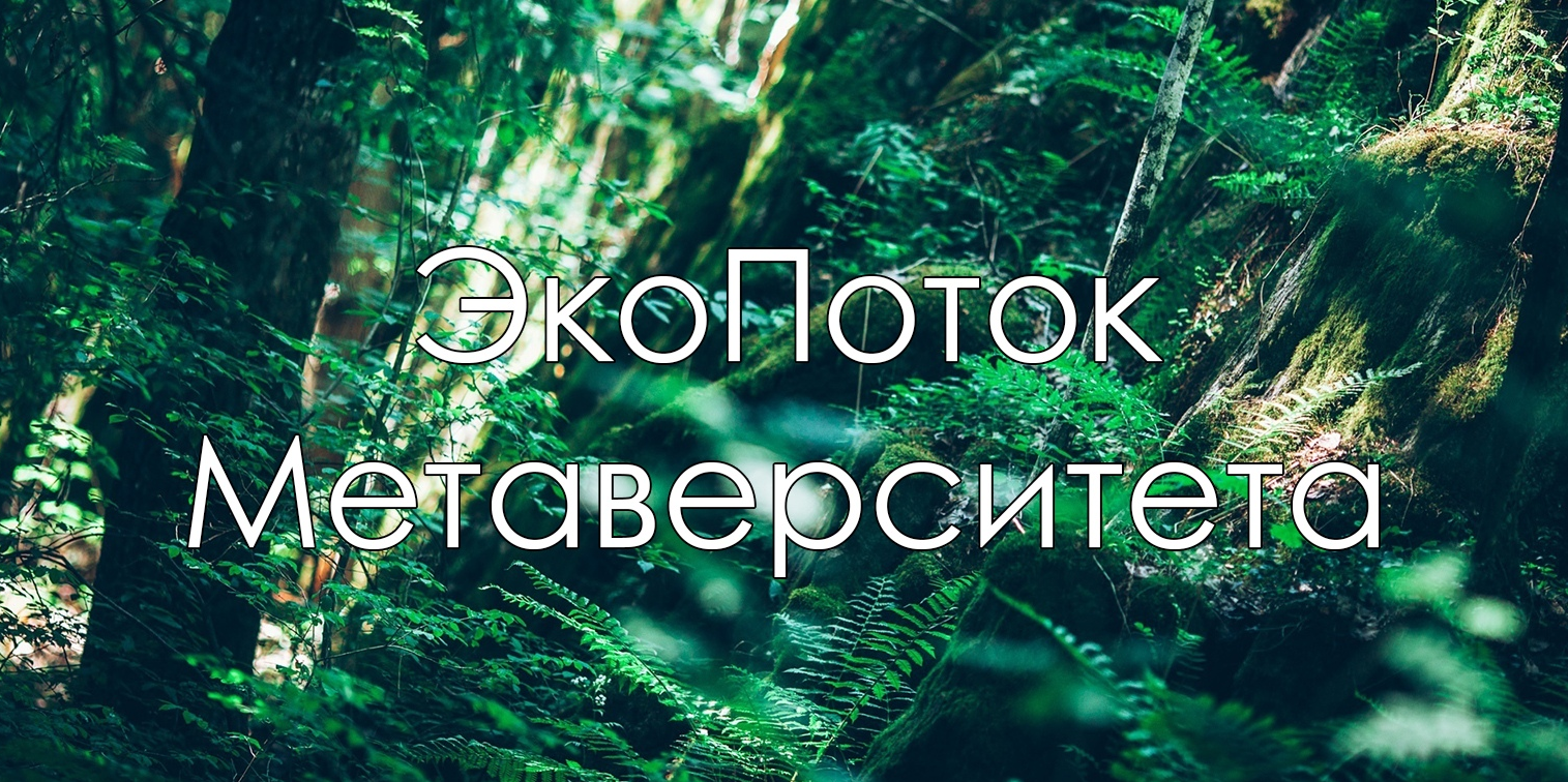 Экопоток. Внутренняя встреча.