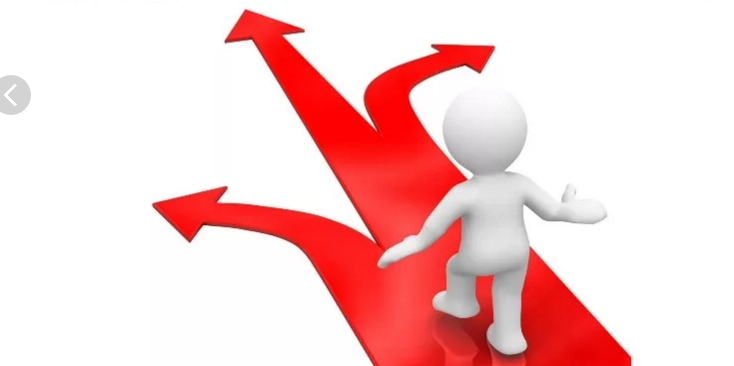 Курс «Вектор успеха»