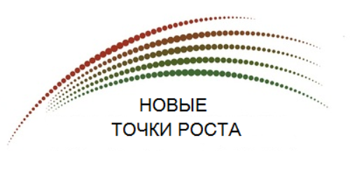 Конференция по защите проектов муниципальных опорных центров дополнительного образования детей в рамках областного конкурса инновационных проектов "Новые точки роста"