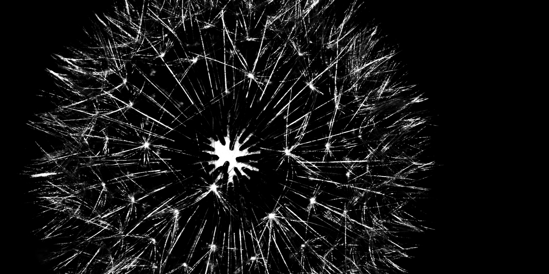 Всероссийская научная конференция "Сюжетология / сюжетогр...