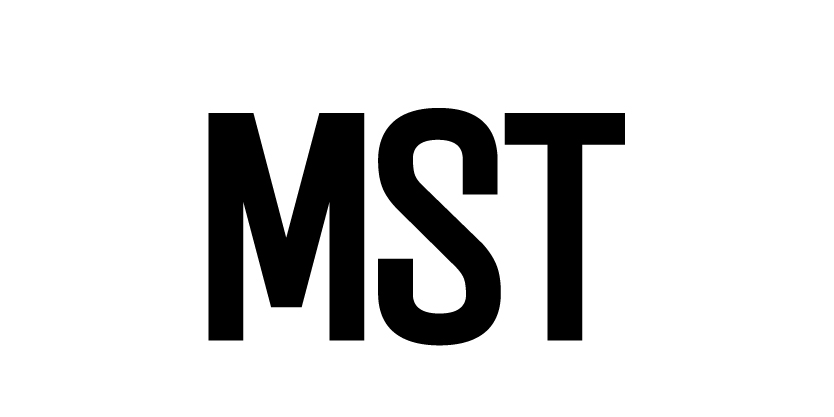 Стратегическая сессия команды топ-менеджеров компании MST (продолжение мероприятия ID19366 малым составом рабочей группы).