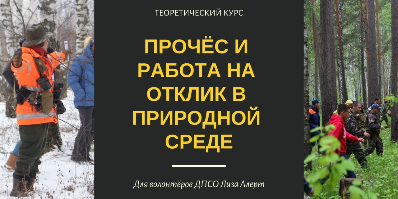 Лекция теоретического курса "Прочес и работа на отклик в природной среде" для волонтеров ПСО Лиза Алерт