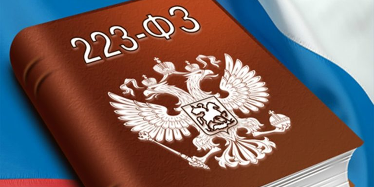 Обучающее занятие "Закупочная деятельность по 223-ФЗ в 2019 году"