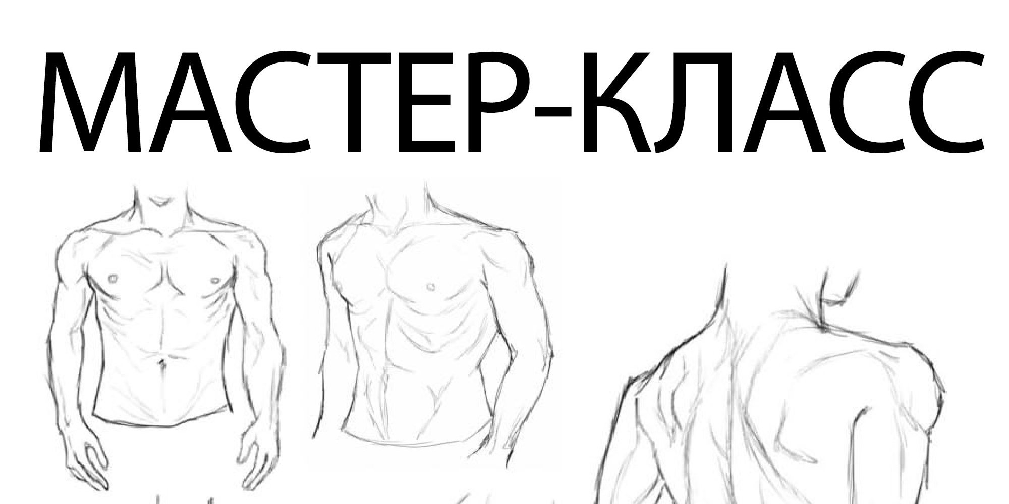 Мастер-класс. Анатомия торса