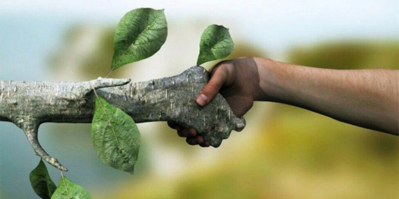 Экологическое образование и просвещение в России и США: опыт, сотрудничество, перспективы