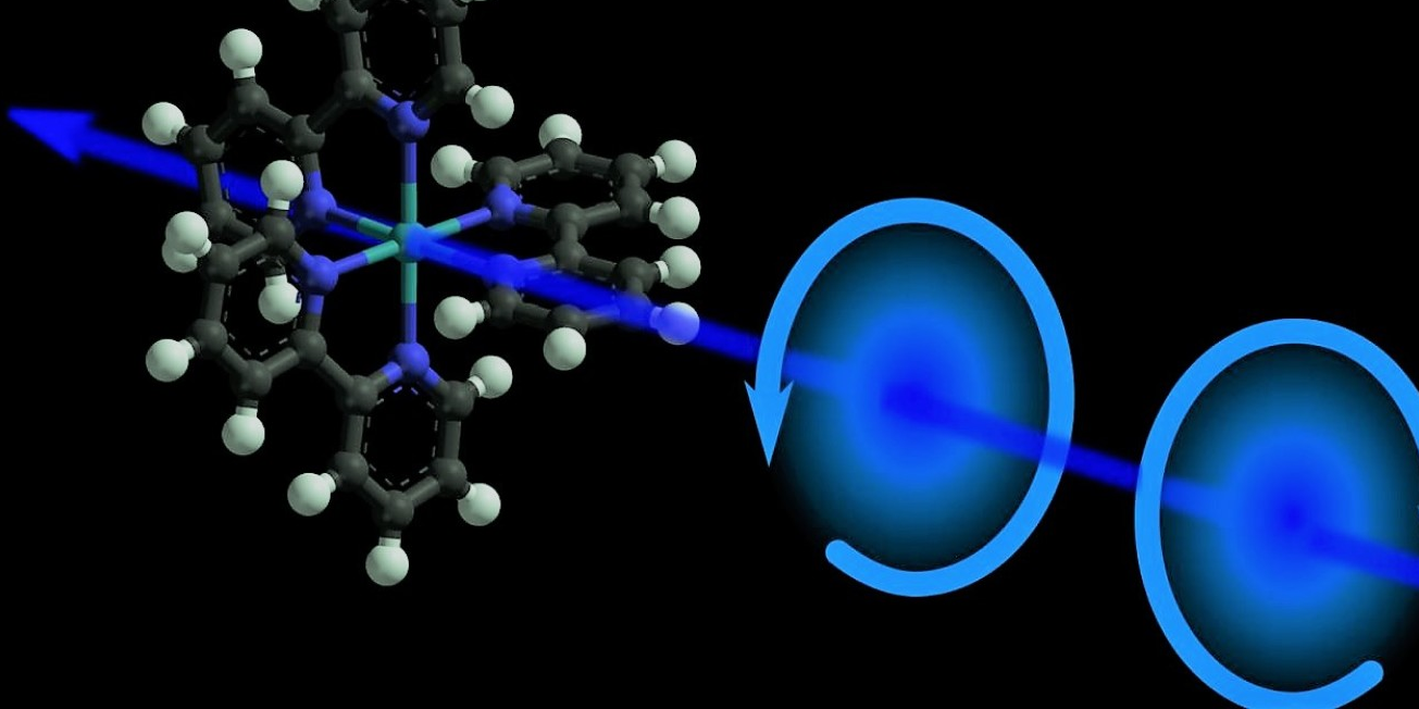 Экспертная группа образовательных программ магистратуры  ЮФУ