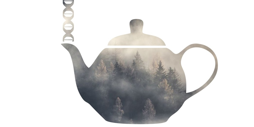 Лаборатория Research Skills. Биология для чайников. Лекци...