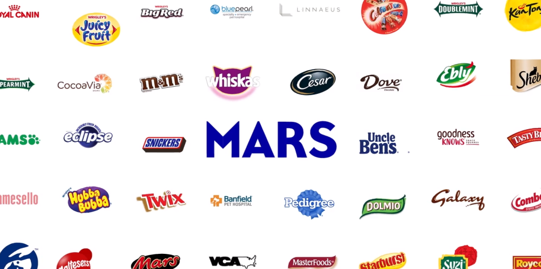 Встреча подразделения сайта компании МАРС