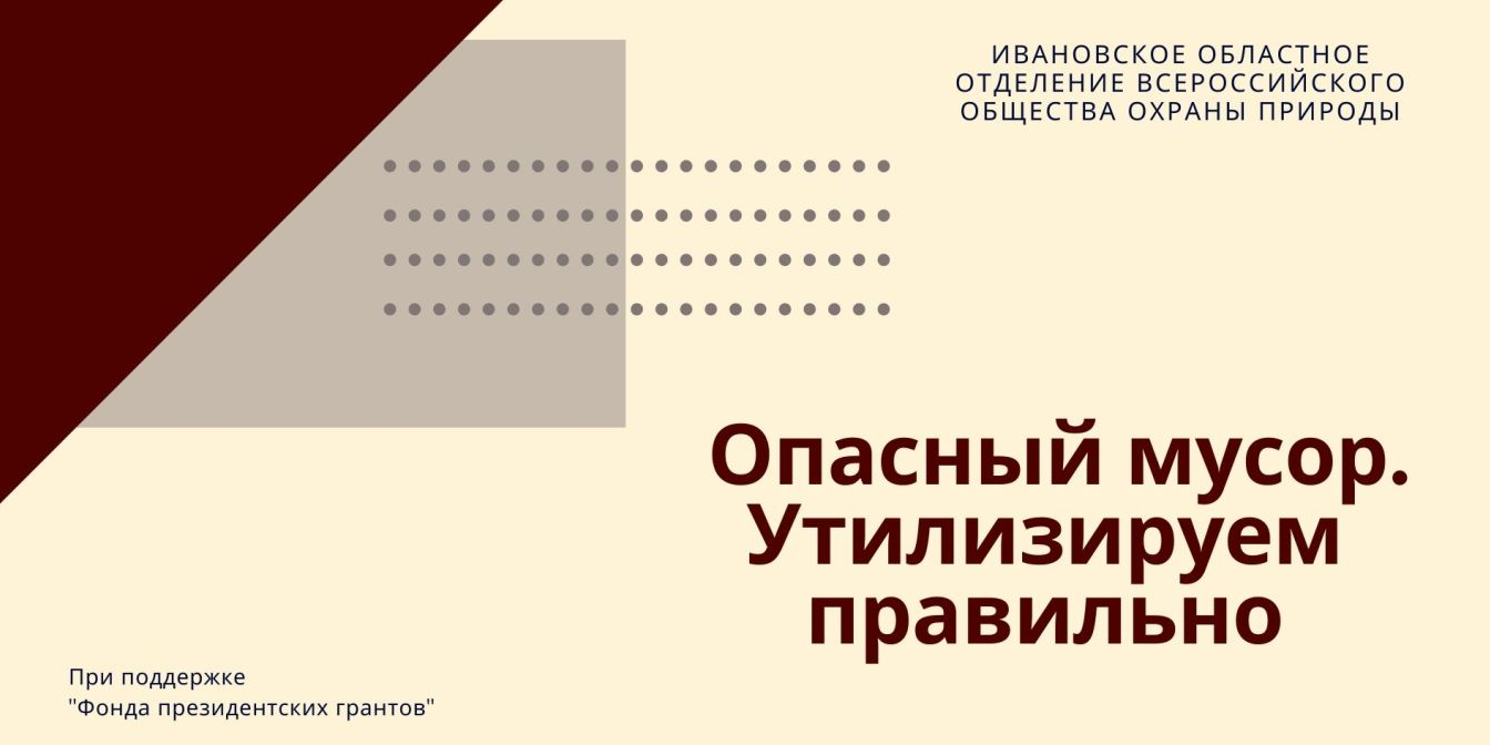 Презентация проекта "Опасный  мусор. Утилизируем правильно"