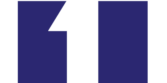 Формирование и развитие команды стартапа