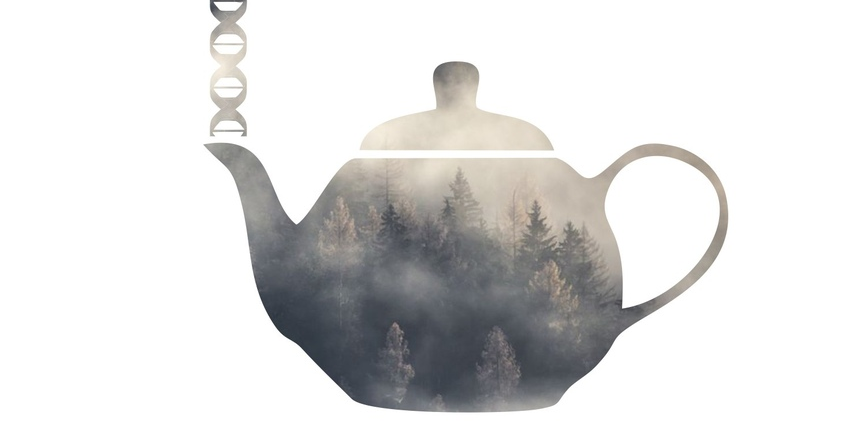 Лаборатория Research Skills. Соль без ГМО. Мифы о еде