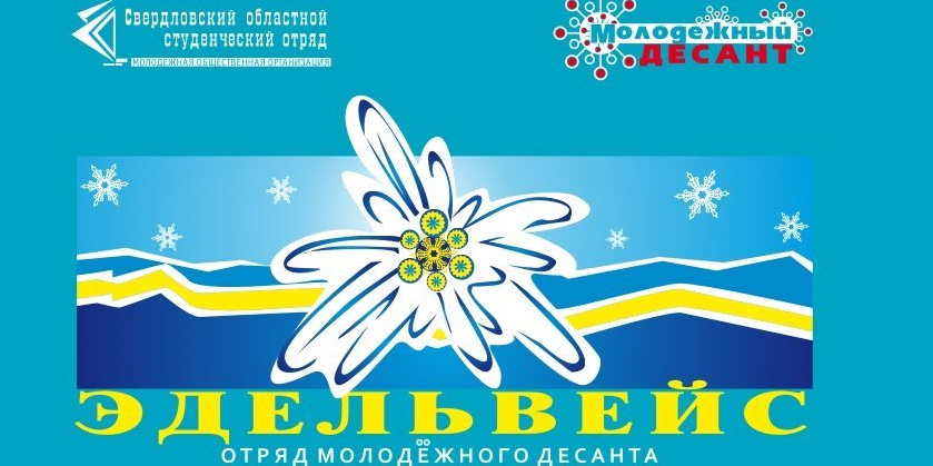 Интеллектуальная игра, посвящённая дню рождению отряда