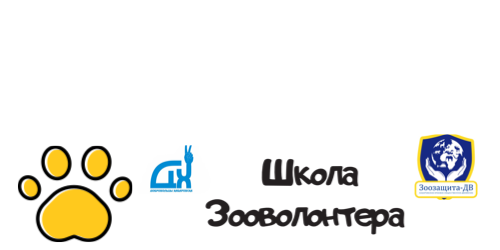 Школа зооволонтера