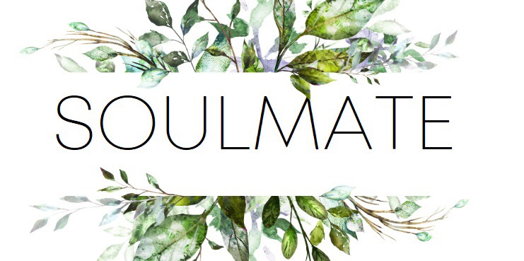 Капитаны России с  24  школой