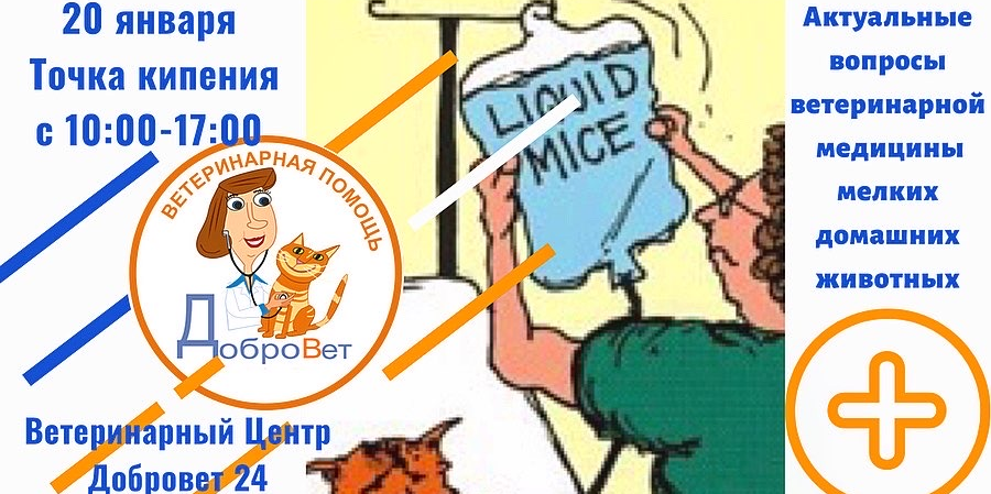 Конференция по актуальным вопросам ветеринарный медицины