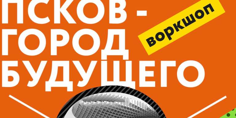 Командный мозговой штурм студентов ПсковГУ и экспертов по...