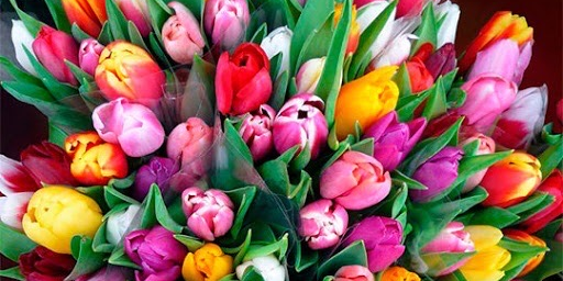 Литературный вечер "Две дороги судьбы"