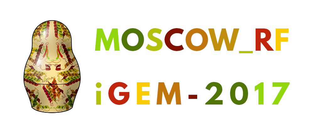 Рабочая встреча команды Moscow_RF для подготовки к участию в iGEM-2017