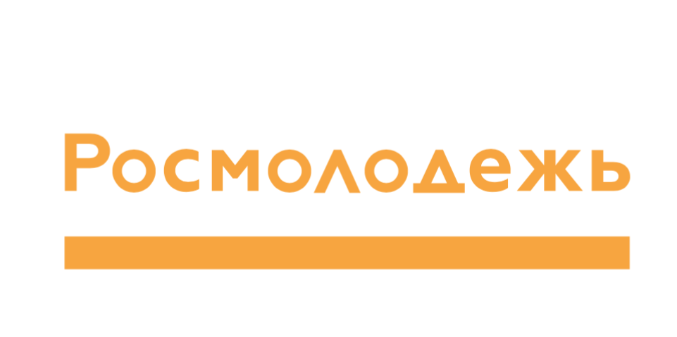 Мастер-класс по составлению заявок на гранты "Росмолодёжь...