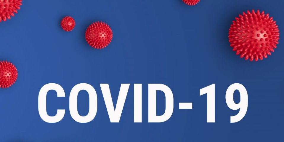 Меры поддержки малого и среднего бизнеса в условиях влиян...