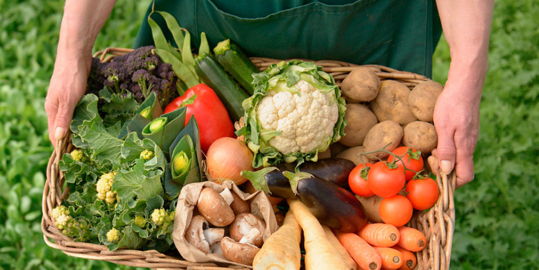 Разработка рекламной кампании. Управление брендом в сельс...