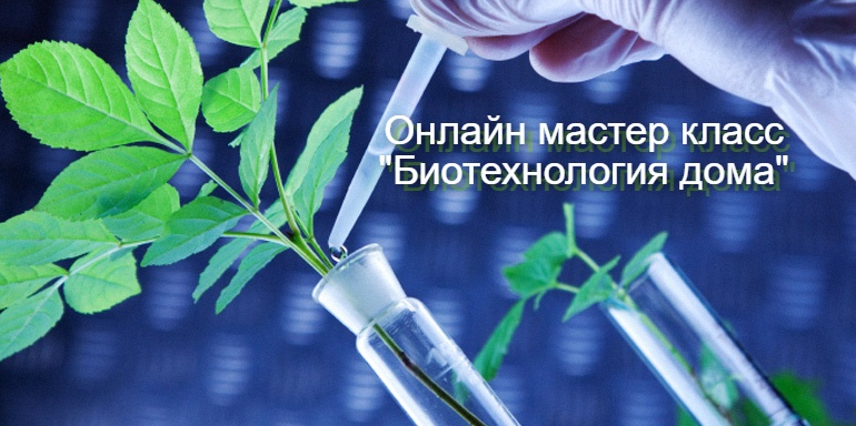 Образовательные мастер-классы на тему "Биотехнология ДОМа"