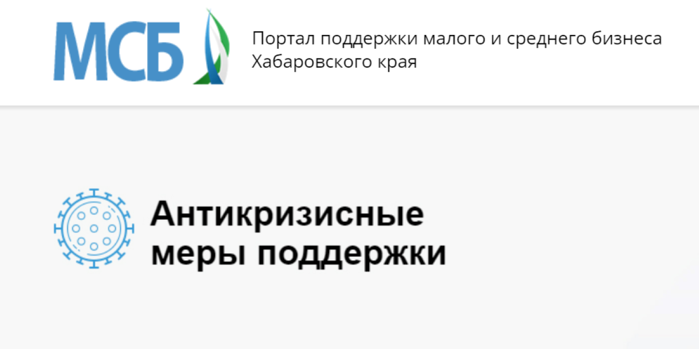 Экспертная сессия по оценке информационного портала о поддержке малого  бизнеса Хабаровского края (https://msb.khabkrai.ru/)