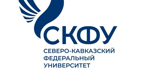 Нетворкинг-сессия грантополучателей и экспертов