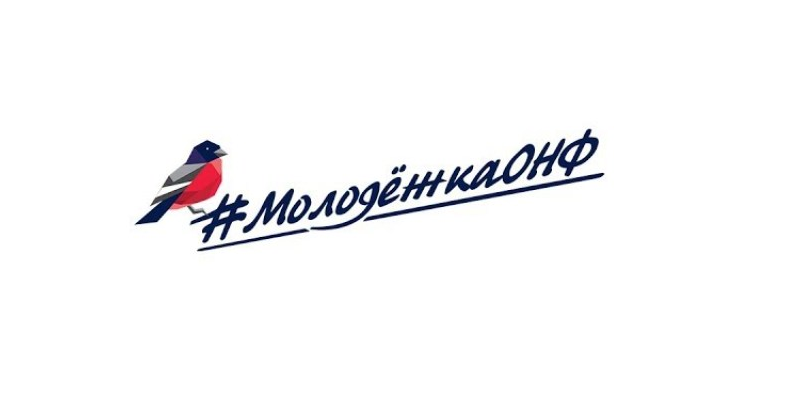 Командообразование новгородской команды Молодежка ОНФ