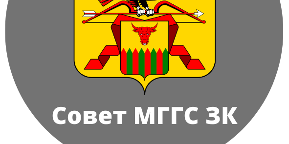 Образовательный день Совета молодых госслужащих Забайкаль...