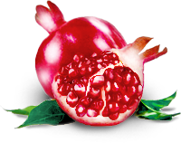 Заседание рабочей группы Сообщества «Превентивная медицина»