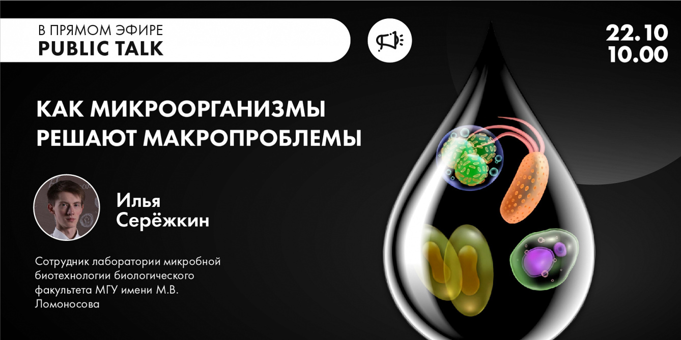 Как бактерии помогают утилизировать нефтяные разливы в Арктике - разговор с микробиологом