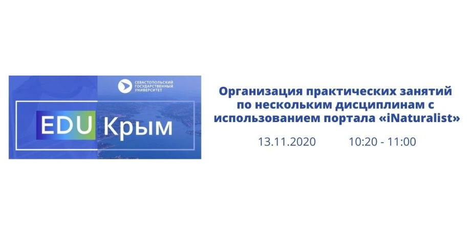 Организация практических занятий по нескольким дисциплина...