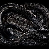 Артур Пирожков Артур Пирожков