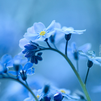 Пичугин Юрий Владимирович