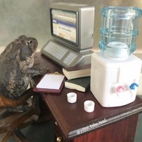 Бабанова Полина Валерьевна Бабанова Полина Валерьевна