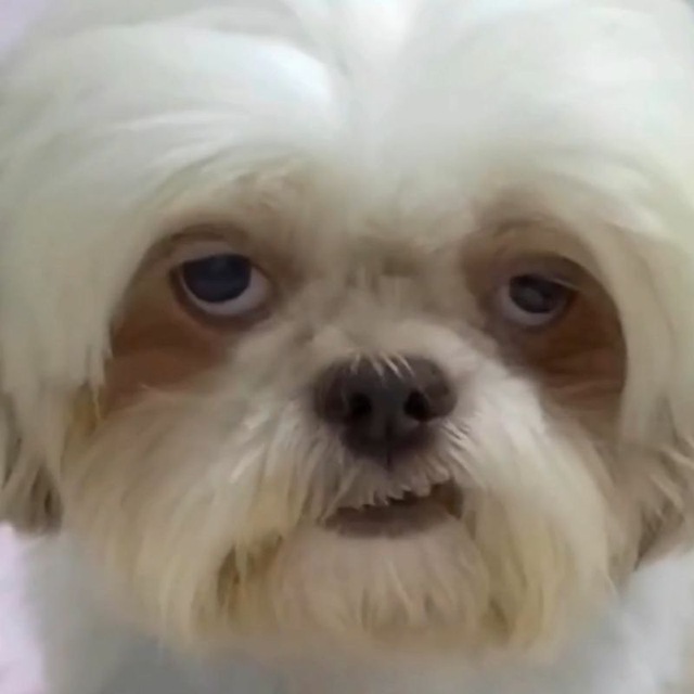 Исматуллаев Асилбек Улфатович Исматуллаев Асилбек Улфатович