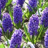 Плахута Татьяна Плахута Татьяна