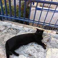 Пасынкова Мария Пасынкова Мария