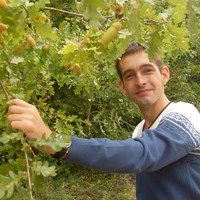 Сергей Викторович Емелин