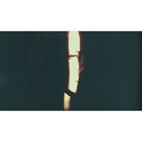 Никишина Инара