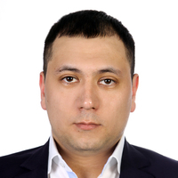 Ильдус Ильясович Насибулин