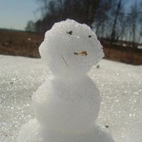 Игнатьева Ирина Дмитриевна