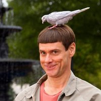 Магдиисмаилов Али Магомедович Магдиисмаилов Али Магомедович