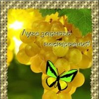 Балашова Виктория Дмитриевна